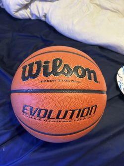 Wilson Evolution Basketball