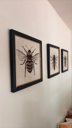 Framed Bee Wall Art Print