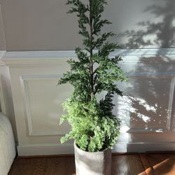 Set Of 2 Trees in Cement Planter