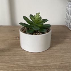 Small Faux Plant 