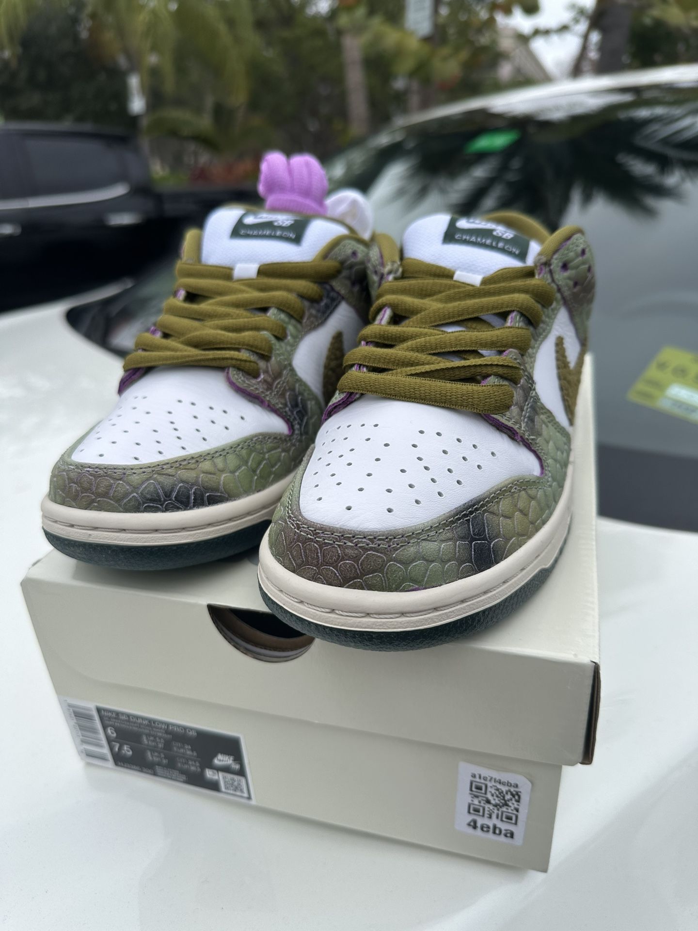 SB CHAMELEON