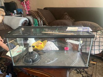 20 gallon long tank