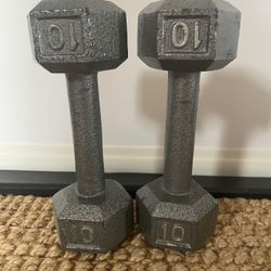 10lb Weights Pair