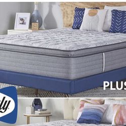 Barely used Queen size bed + Frame
