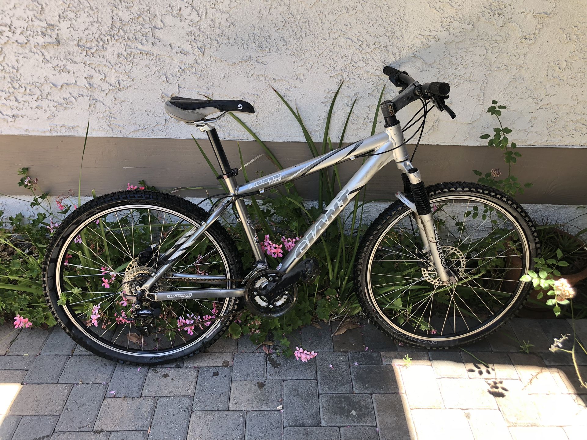 Giant Mountain Bike