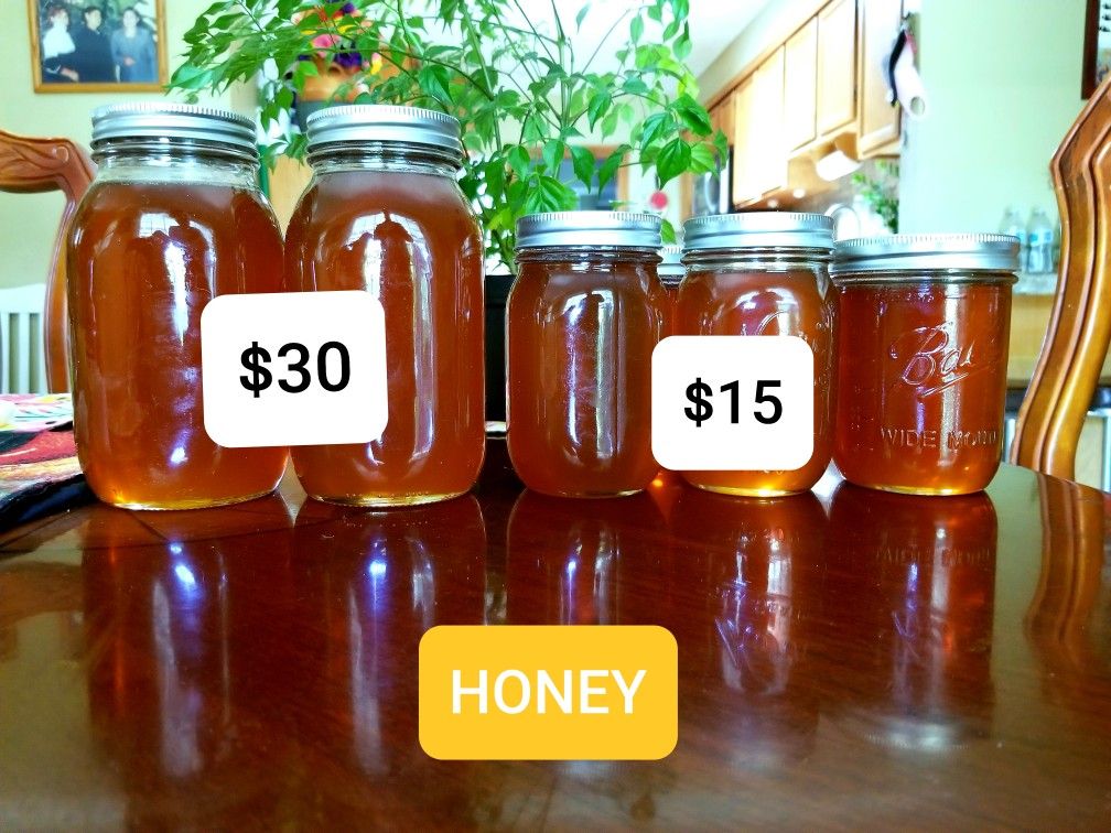 Pure Honey
