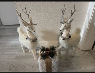 Two Christmas reindeer