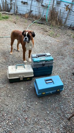 Three tacklebox with tackle