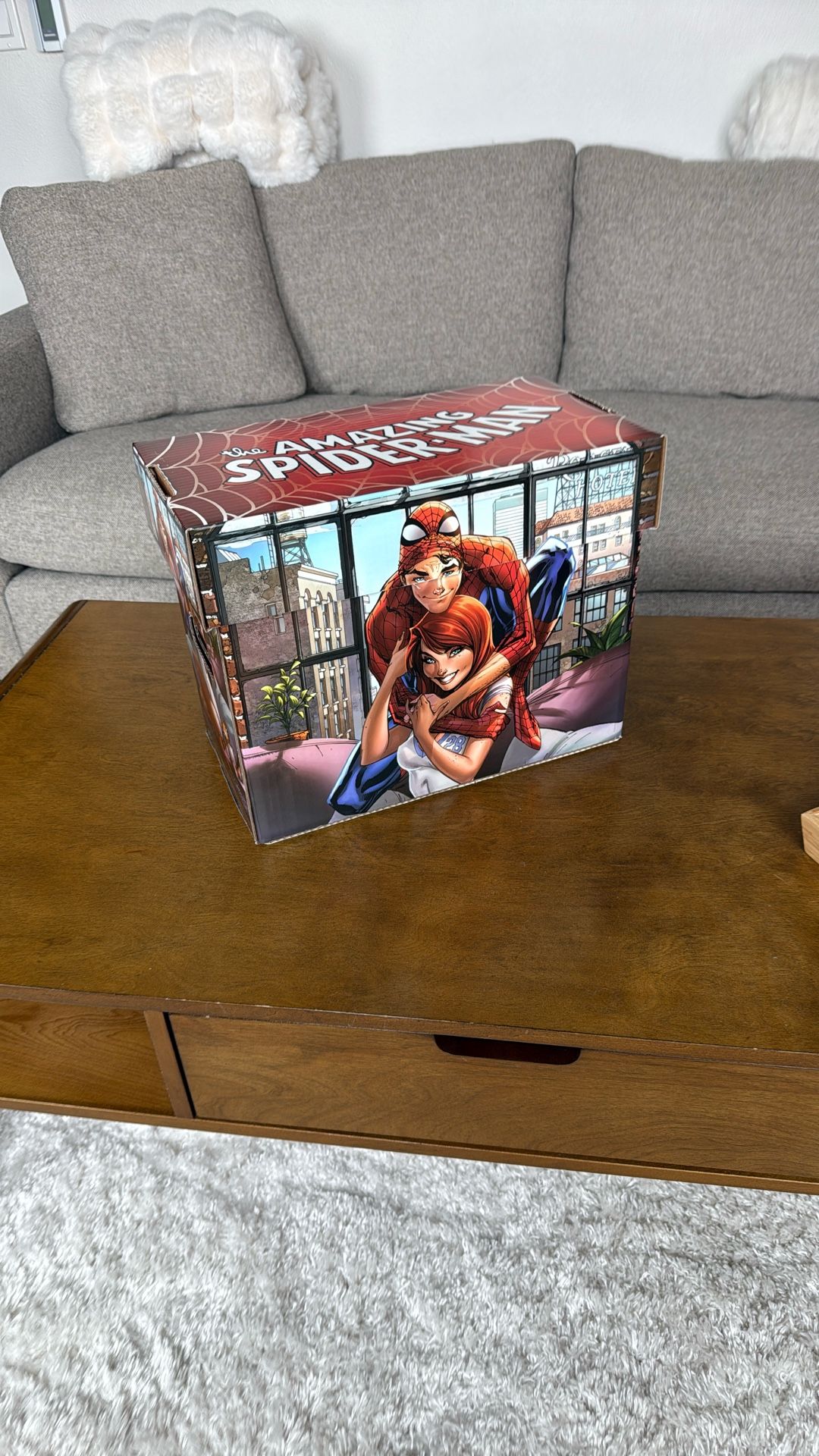 Comic Book Box