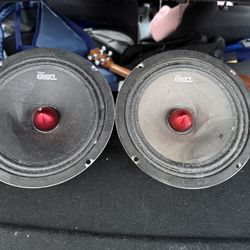 Speakers 
