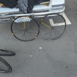 700c 29er Mavic CrossMax Pro SL SSC CHEAP