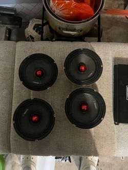 6.5 ds18 midrange speaker
