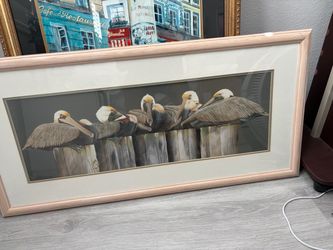 Framed Pelican Art Print