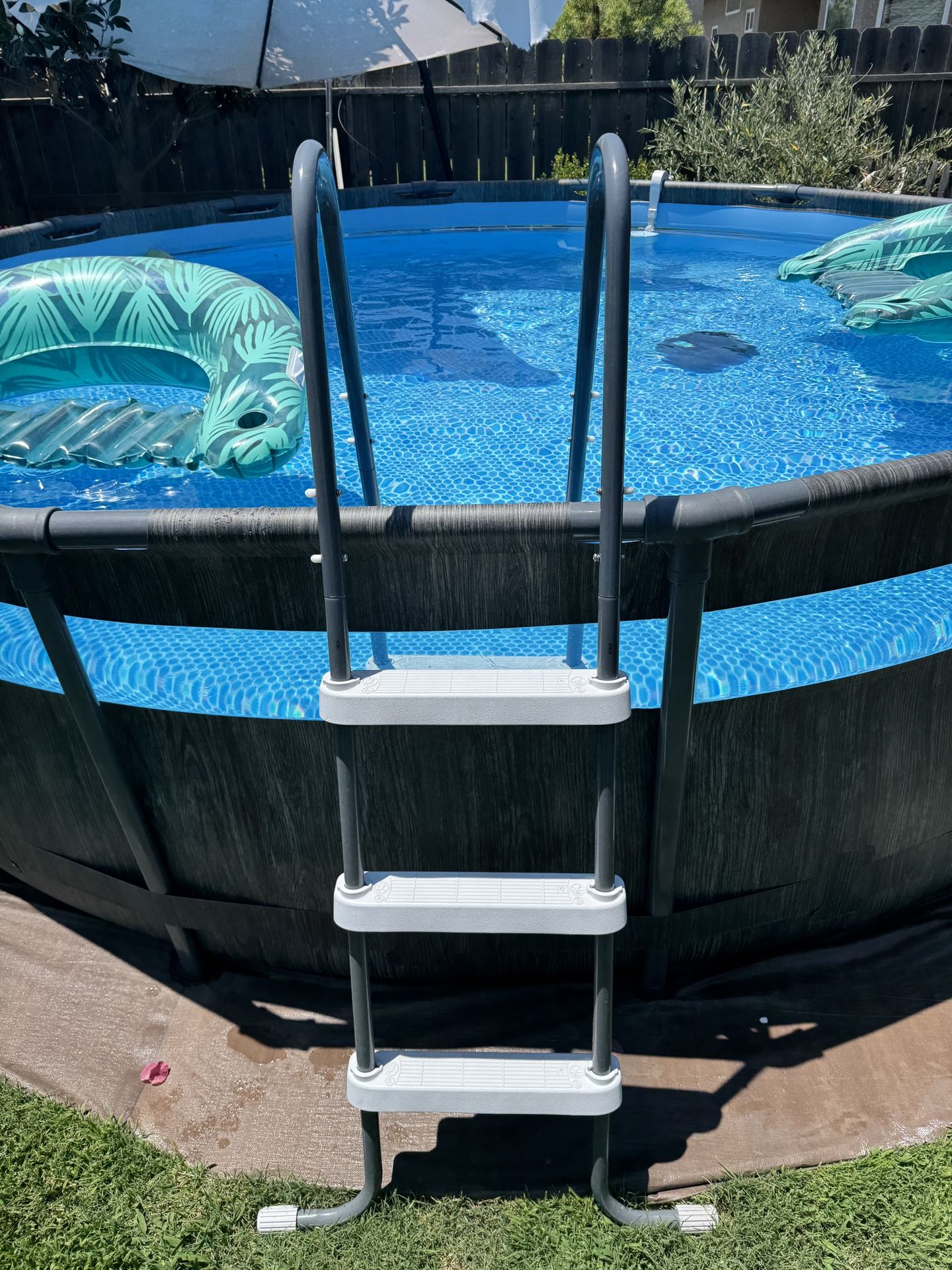 Pool Ladder