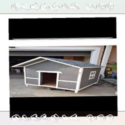 more TV Make the Ultimate Dog Home - Style and Comfort Merged
