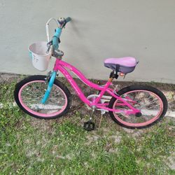 Girls Pink Bike 