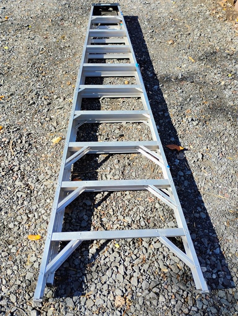 Werner 10 Ft Aluminum Ladder