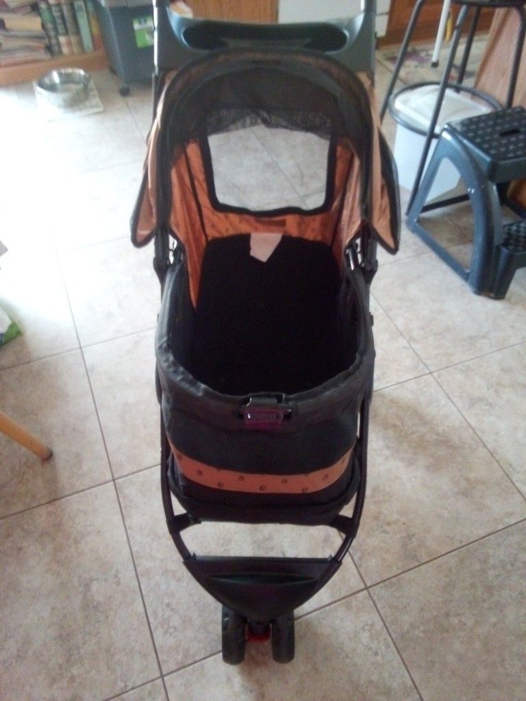 Cat Carriage