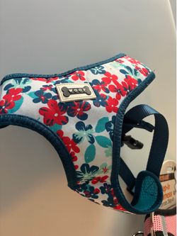 Small and XS dog harness