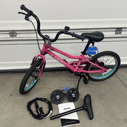 Guardian Bike 16 Inch Pink Aqua And Training Wheels