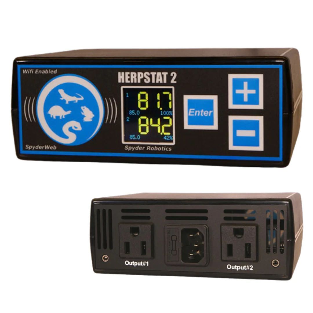 Herpstat 2 Spyderweb - Brand New