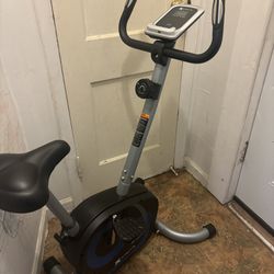Xterra Workout Bike