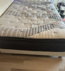 Queen Size Matrees