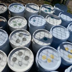 Paint And Primer Exterior/Interior $50-100