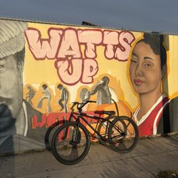 29er ( can do trades )