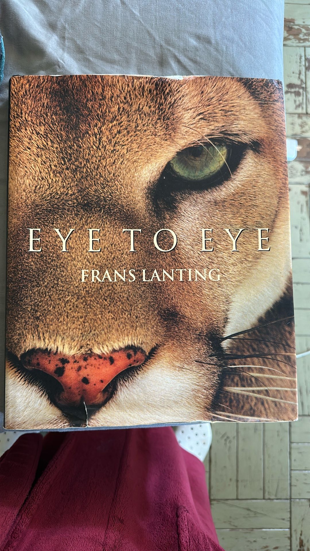 Eye To Eye By Frans Lanting