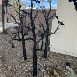 Halloween Decorations