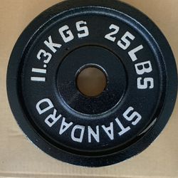 🔥 25 lbs Olympic Weight Plate 2-Inch Insert Pair - New (50lbs Total) 💪🏋️