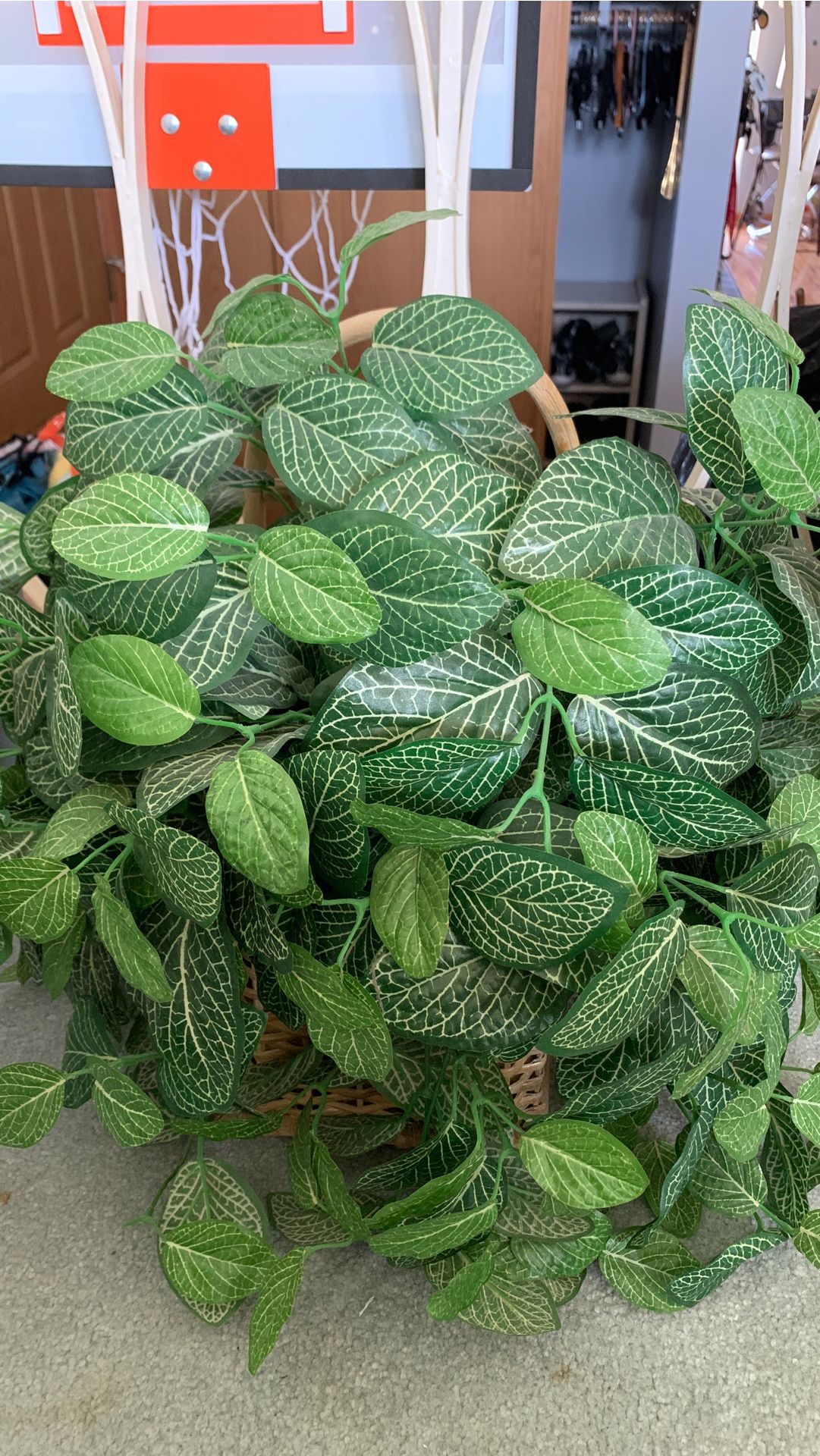 Fake Plant