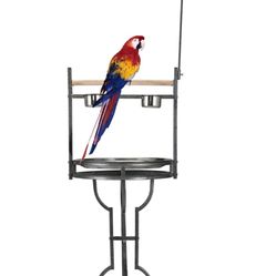 Parrot Stand 
