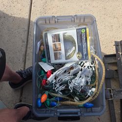 Boss Of Christmas Lights 