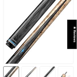 Pool Cue And Case 