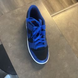 8.5 Nike dunks