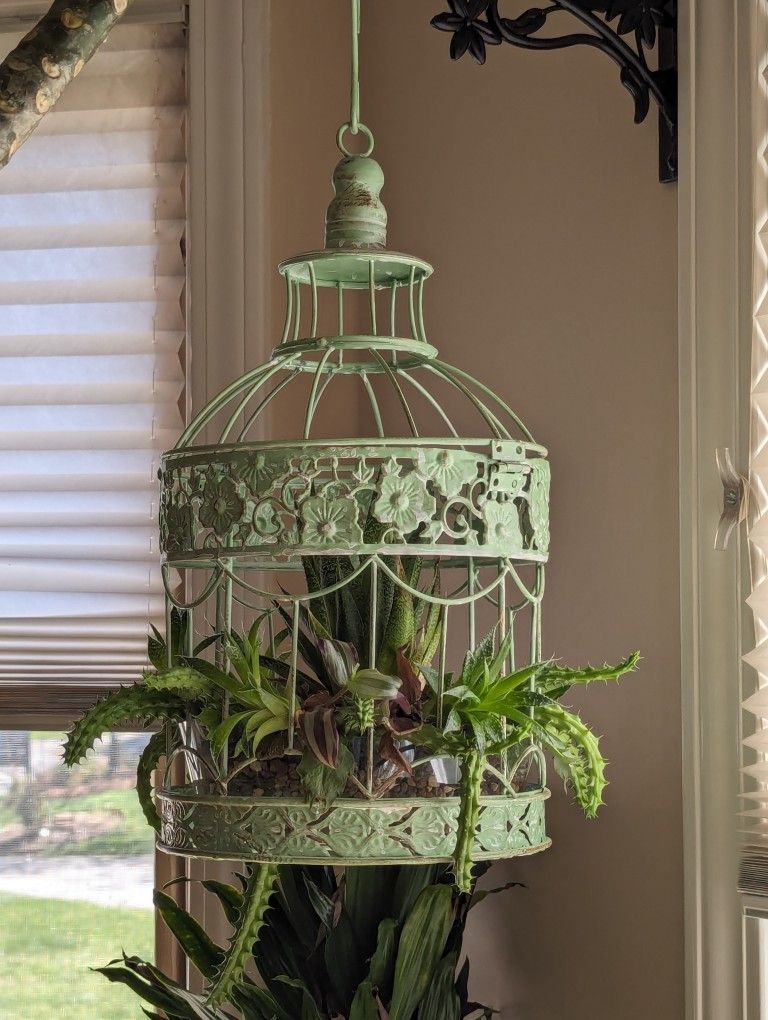 Bird Cage planter With Plants