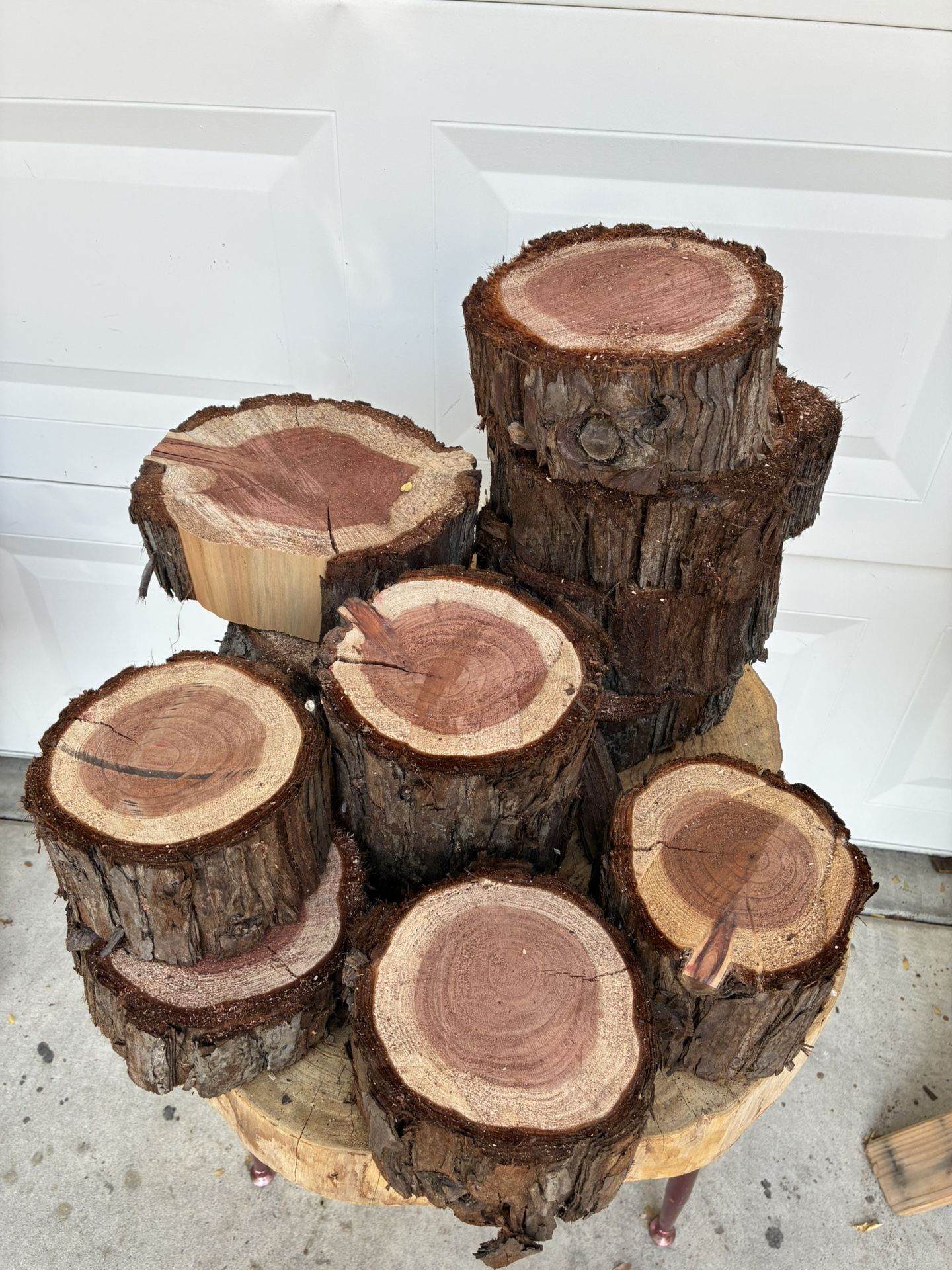 🪵❤️🔥Small Redwood Rounds Stands🧚🏻♀️