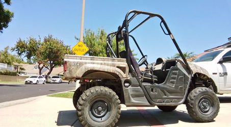 Yamaha Rhino 450