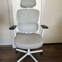Ergonomic Office Chair Gray White