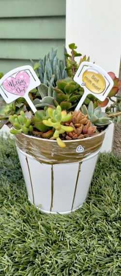 Last Minute Mother's Day Gift Special!