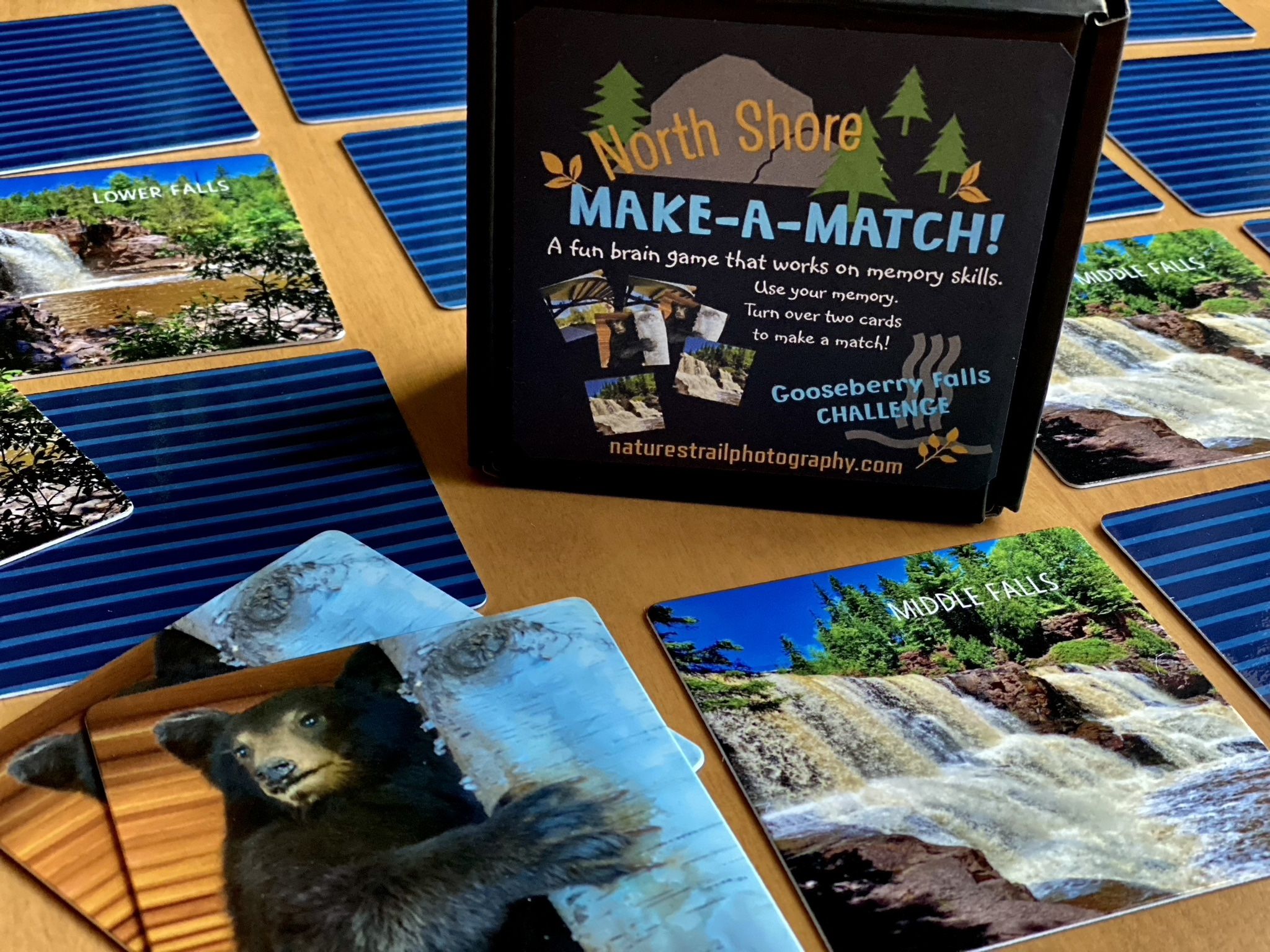 North Shore MAKE-A-MATCH! Gooseberry Falls CHALLENGE 