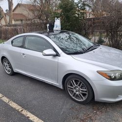 Scion TC 08