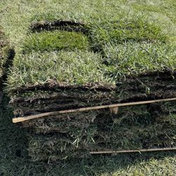 Sod St Augustine 600 Sq Feet