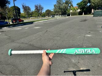 Softball Bat 28” -12
