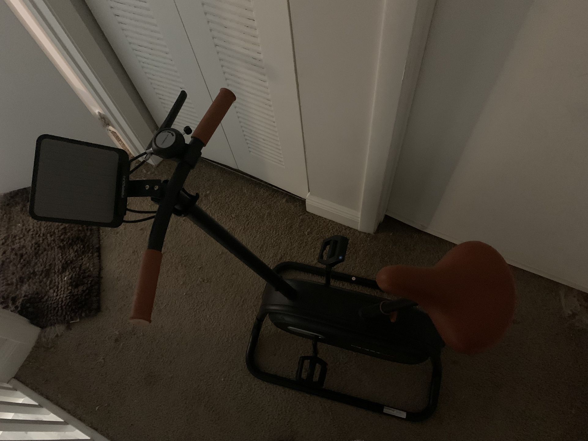 Feierdun Exercise Bike