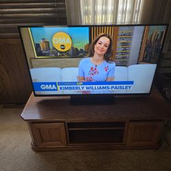 Vizio 48' TV