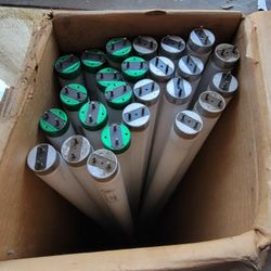 T 8 48" Bulbs