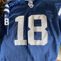 NFL Collectible Reebok Indianapolis Colts Boy’s Manning Jersey.  Nice 